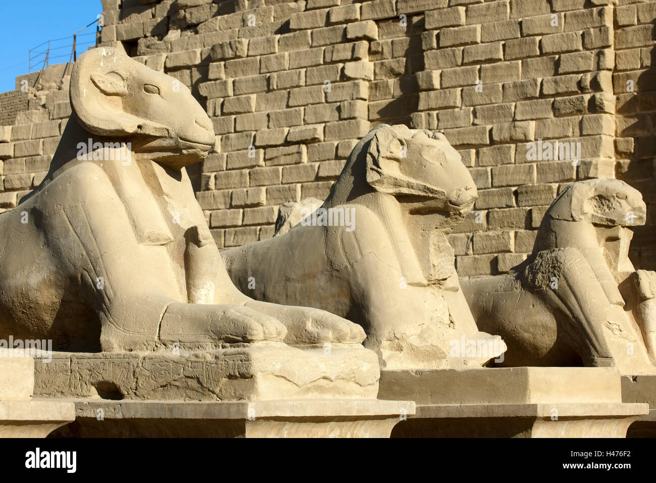 Ägypten, Luxor, Karnak-Tempel, der Widder Sphinx-Allee am Eingang, Stockfoto