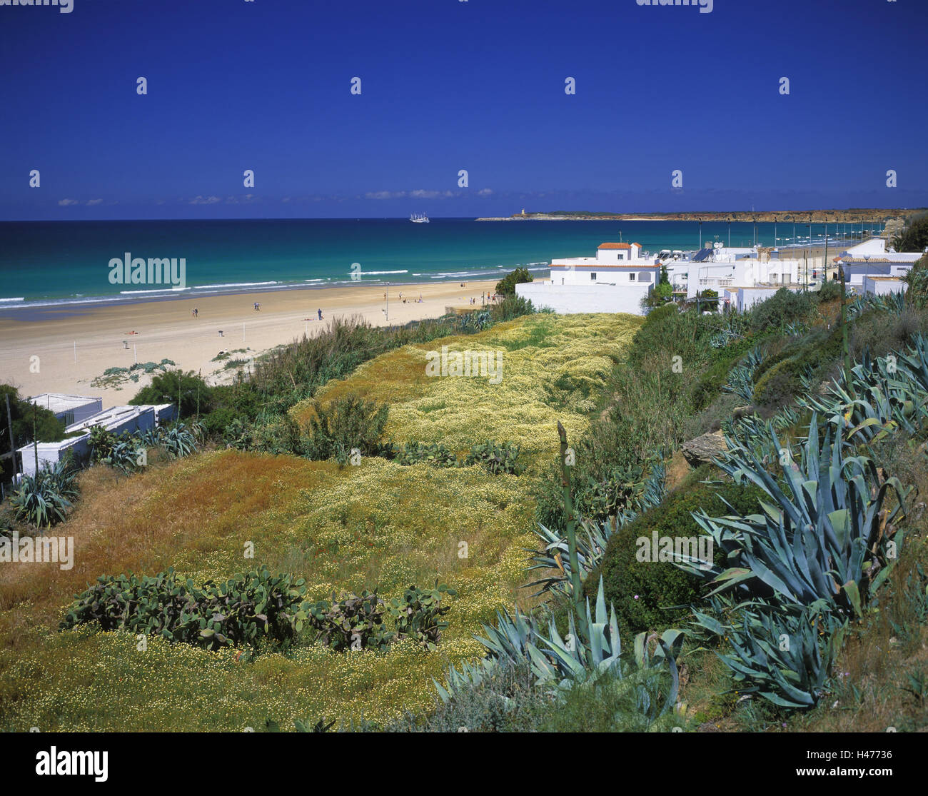 Spanien, Andalusien, Costa De La Luz, Conil De La Frontera, Playa De La Fontanilla, Stockfoto