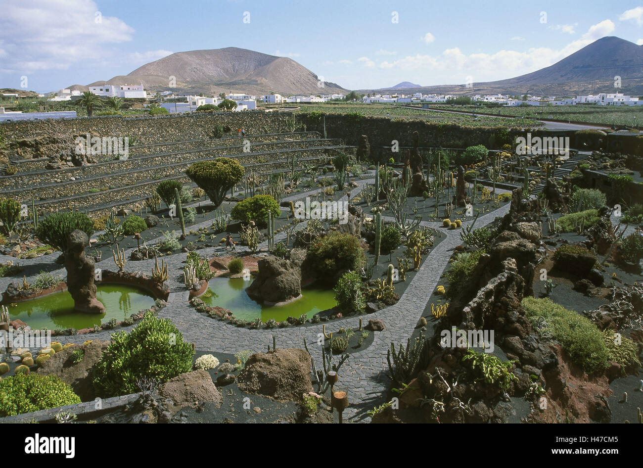 Spanien, die Kanaren Insel Lanzarote, Guatize, Jardin de Cactus, Kakteengarten, Kakteengarten, Kakteen, Kakteen, Cactaceae, Vielfalt, Biodiversität, Ort von Interesse, Tourismus, Ansicht, Stockfoto