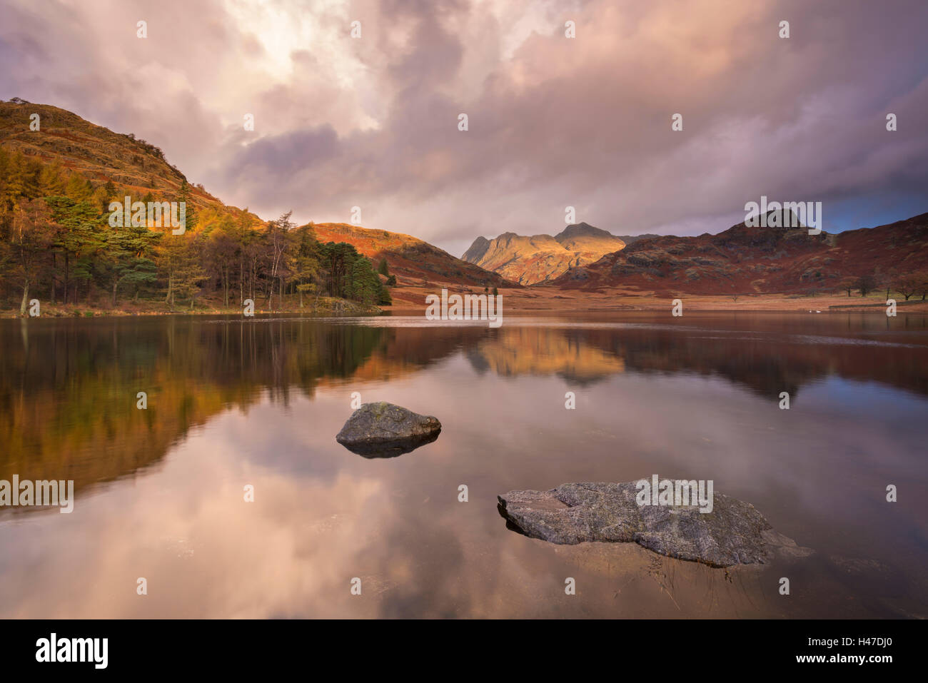 Dramatische Sonnenaufgang Licht über Blea Tarn und Langdale Pikes, Lake District, Cumbria, England. Herbst (November) 2014. Stockfoto