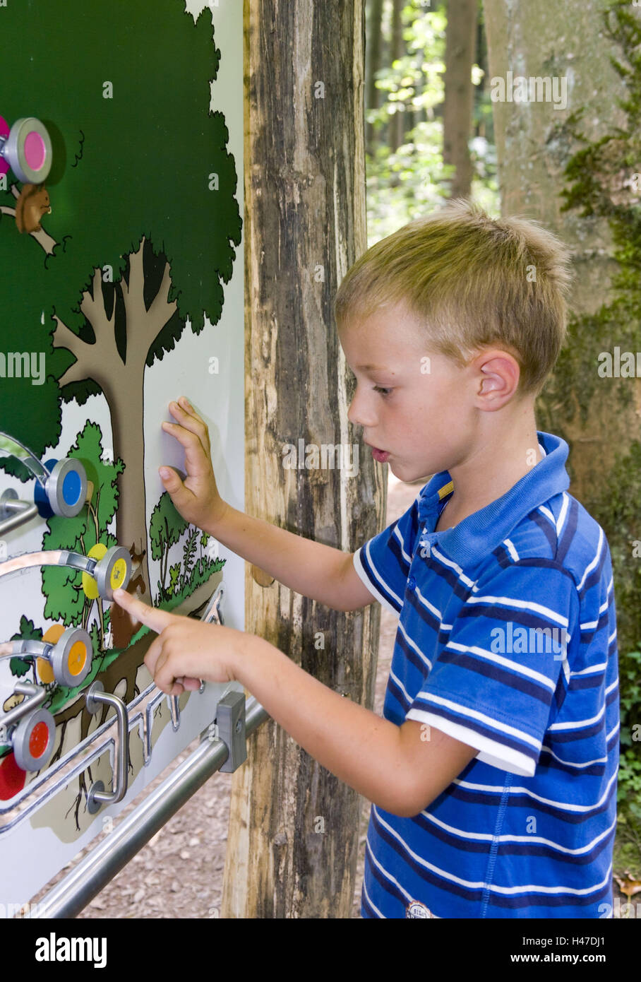 Deutschland, Schwäbisch Gmünd, erleben Sie Waldweg Naturatum, junge, Diagramm, spielen, Baden-Wurttemberg, Holz, Person, Kind, Lehre, Weg, Wald-Erlebnisweg, Erlebnisweg, Waldlehrpfad, Schwarzes Brett, Lehre Weg, Informationen, Lehre Schwarzes Brett, Diagramm, lernen, spielerisch zu entdecken, ausprobieren, Naturerlebnis, Natur, Natur-liebend, Bildung, Interesse, Kindheit, im Außenbereich Stockfoto