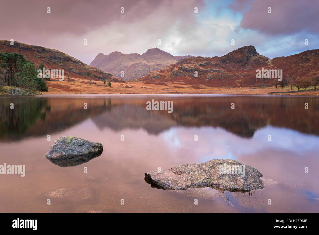 Die Langdale Pikes Berge spiegeln sich in Blea Tarn, Lake District, Cumbria, England. Herbst (November) 2014. Stockfoto