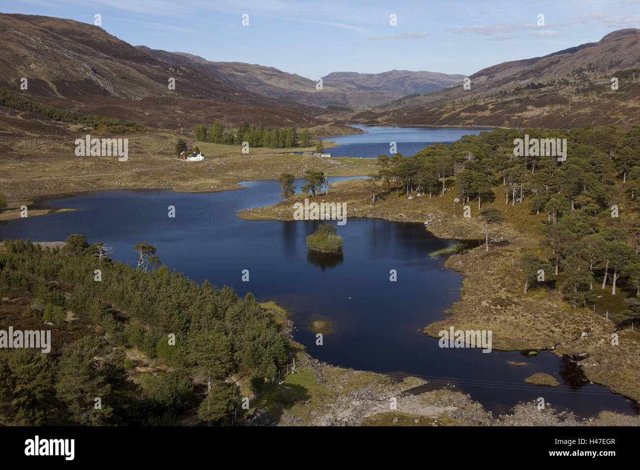 North West Highlands, Glen Cannich, Stockfoto