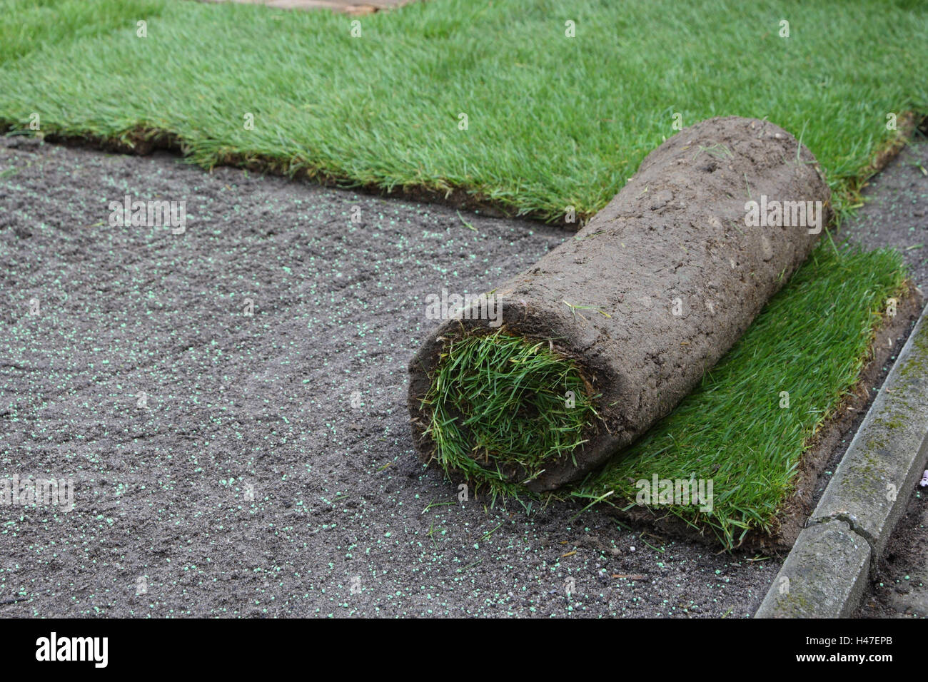 Investieren Sie eine rollende Rasen im Garten, Stockfoto