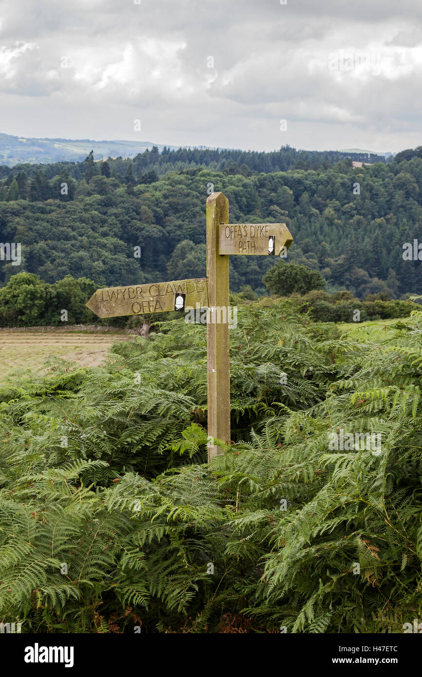 Offas Dyke Stockfoto