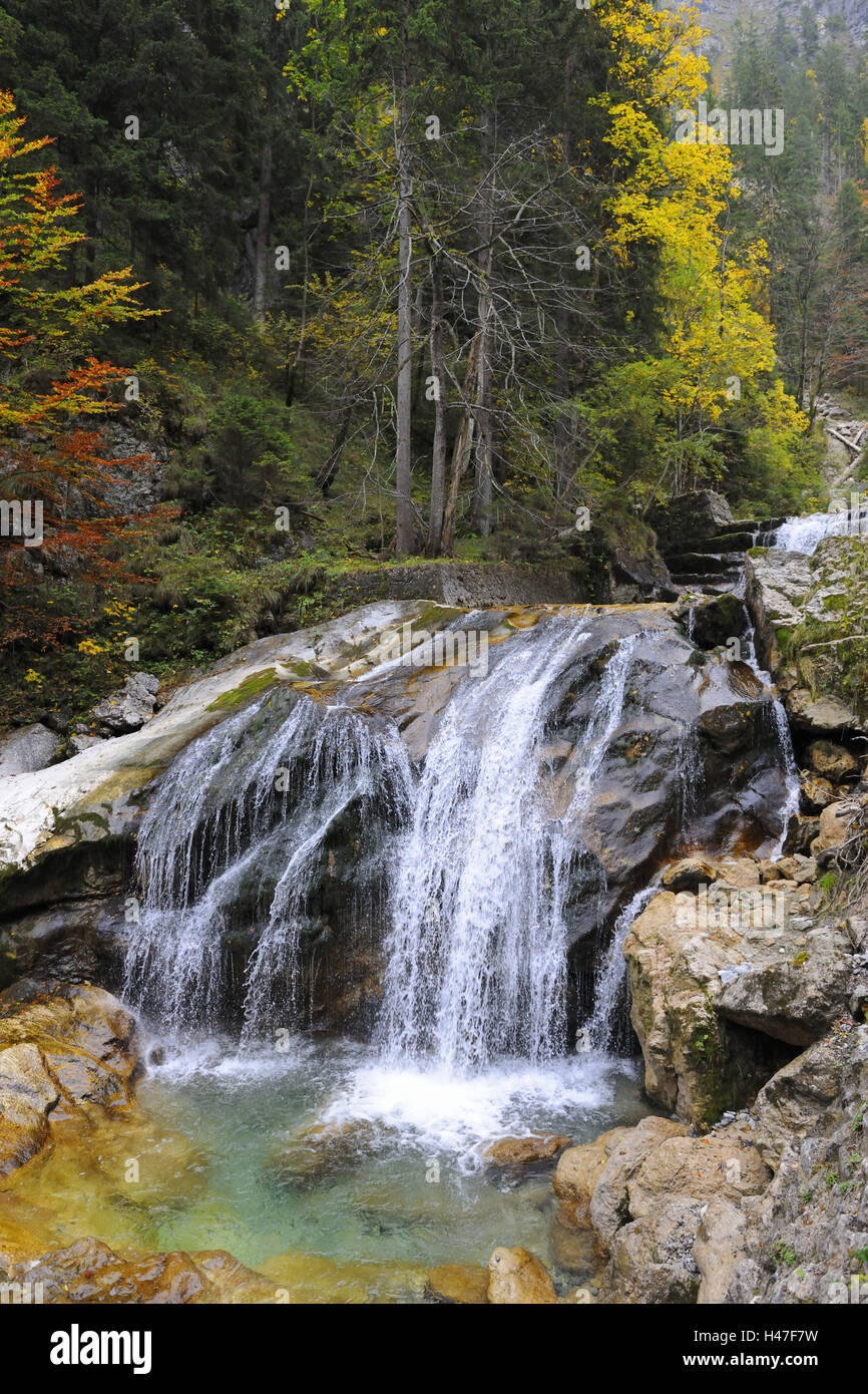 Deutschland, Bayern, Allgäu, Pöllatschlucht, Rock, hohe Schwan Region, Feuchtigkeit, Wasserfall, Fluss, kühl, Natur, Holz, wilden Bach, Bach, Covered, Europa, Gebirgsbach, Moos, Schauspiel Natur, Steinen, Stockfoto