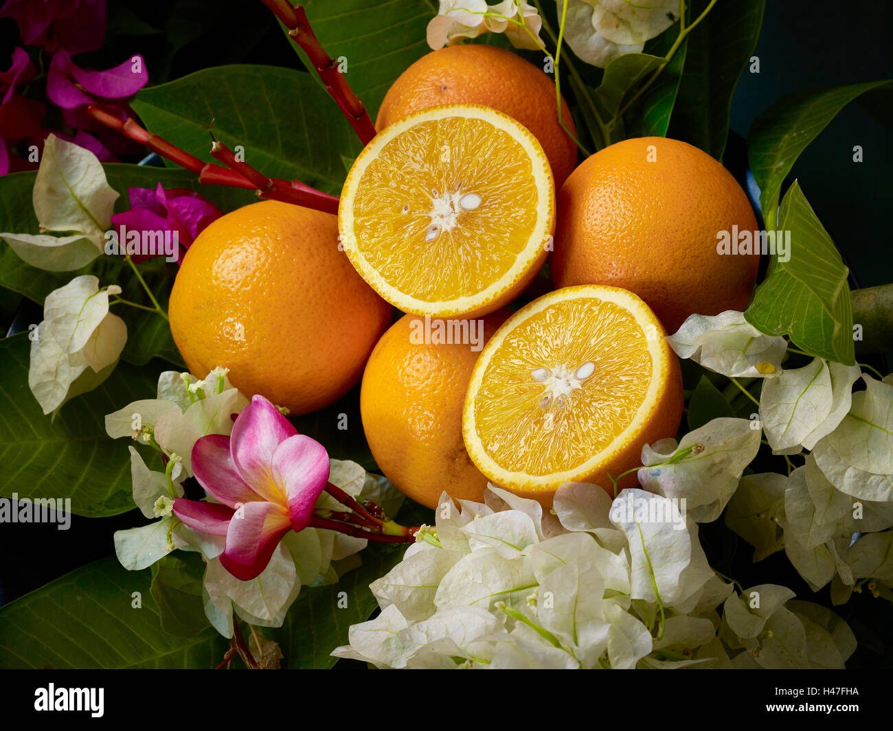 Orangen, Orangen in Gruppe, frischen Orangen Orangen in Natur, gesunde Ernährung, gesunde Ernährung, Frühstück, Gesundheit ist Reichtum, Vitamin C Stockfoto