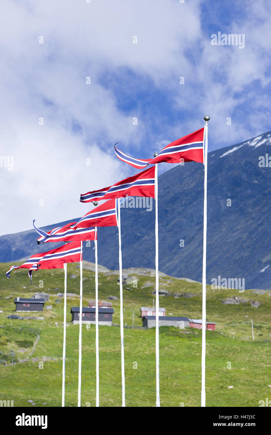 Norwegische Flaggen, Lom, Jotunheimen, Oppland, Norwegen, Skandinavien, Stockfoto