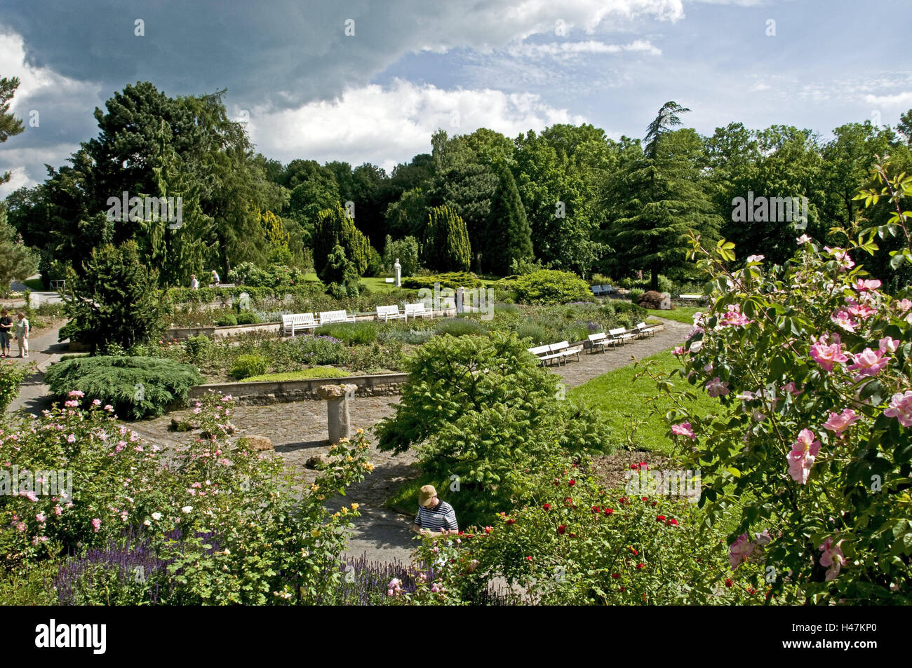 Deutschland, Sachsen-Anhalt, Harz District, Sangerhausen, Europa-Rosarium, Besucher, Stockfoto