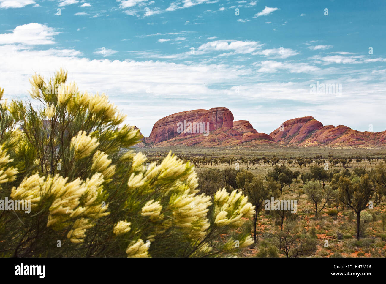 Australien, Northern Territory, Outback, Berge, Olgas, Stockfoto