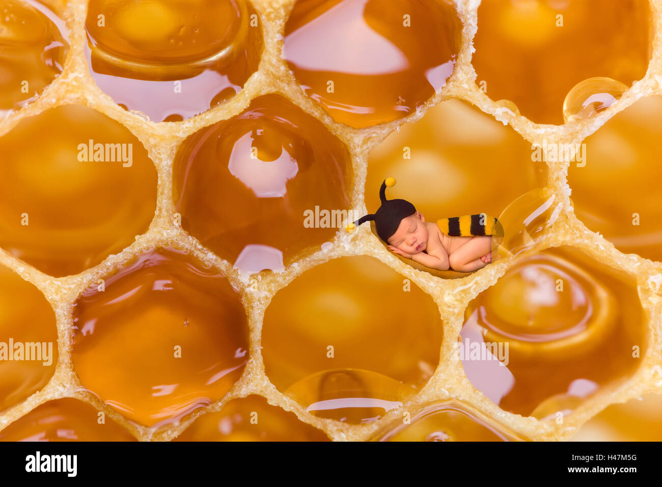 Neugeborenes Baby im Biene-Outfit in eine echte Waben zu schlafen Stockfoto