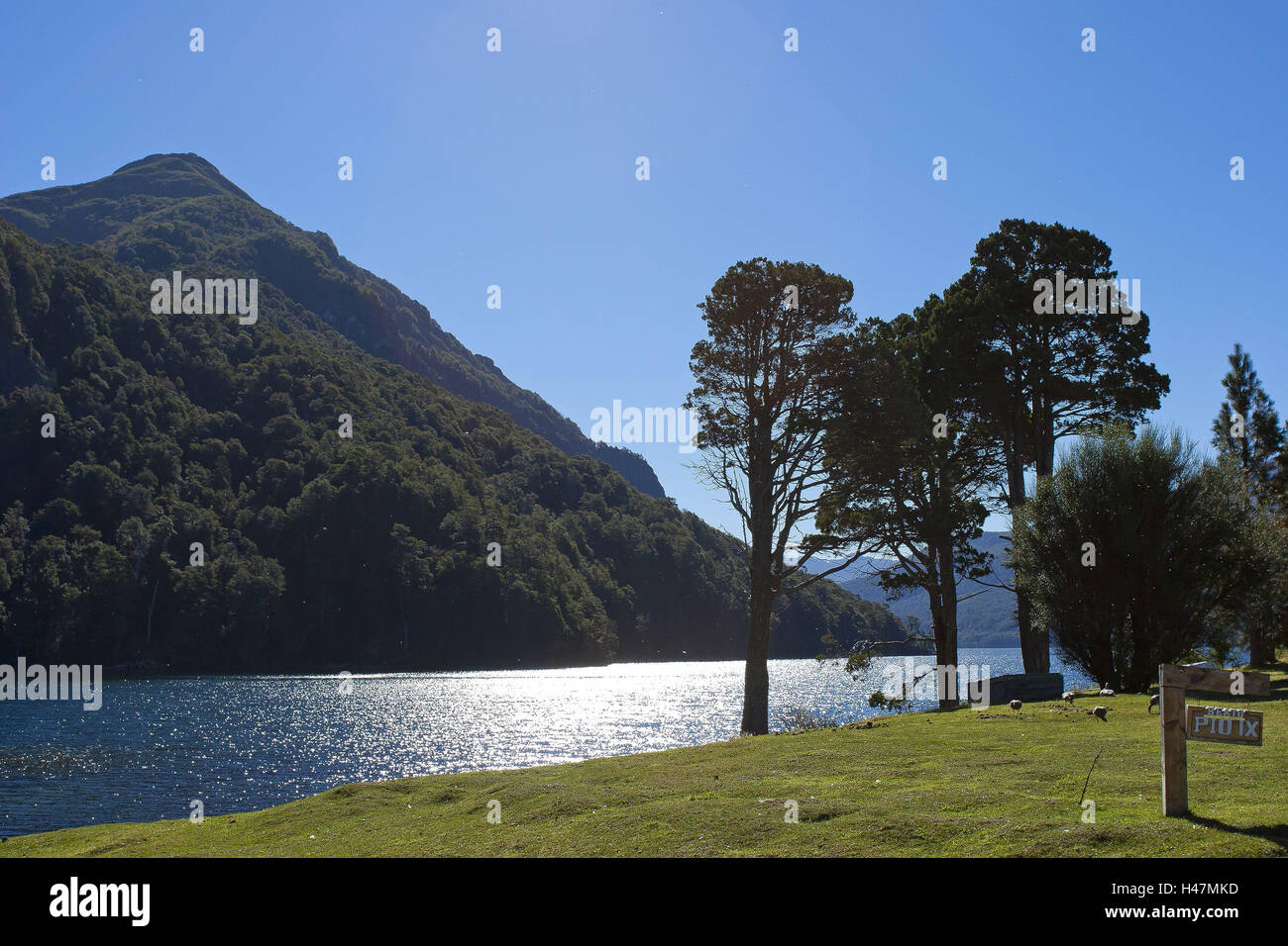 Argentinien, Patagonien, Provinz Neuquen, Nationalpark Lana, See Lago Tromen, Stockfoto