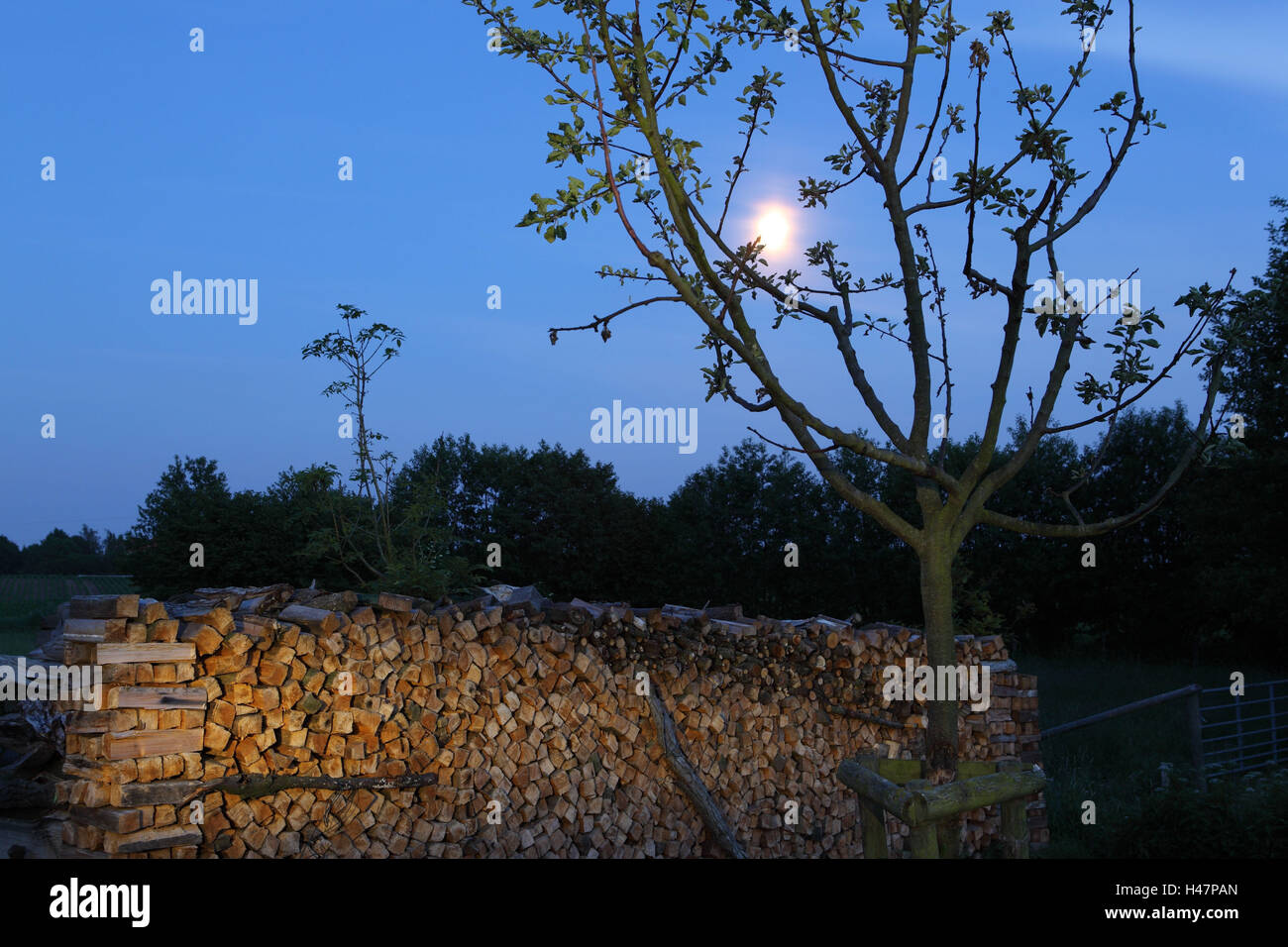 hölzerne Batch im Mondlicht, Stockfoto