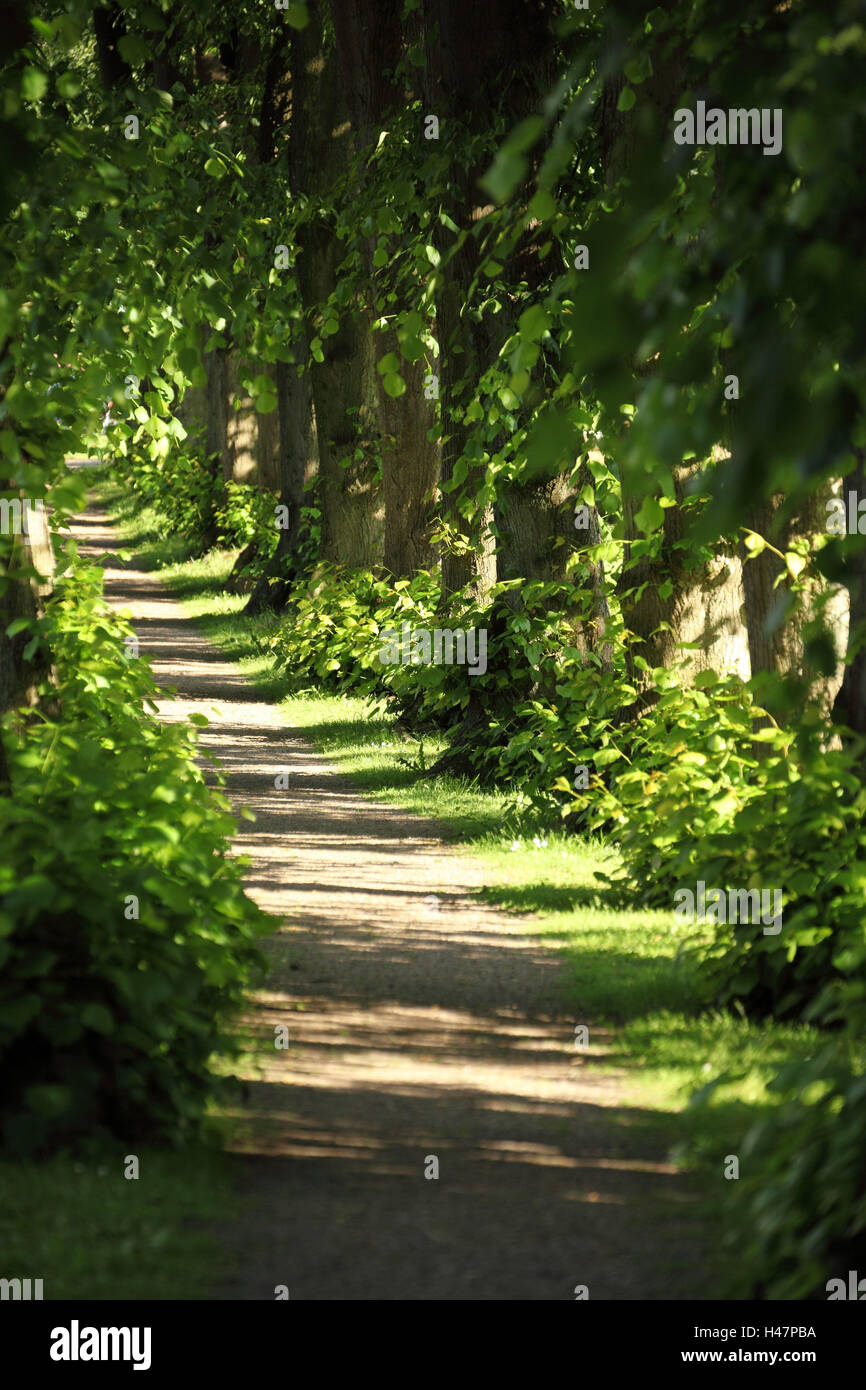 Schleswig-Holstein, Sieseby, Weg durch alte Friedhof, Stockfoto