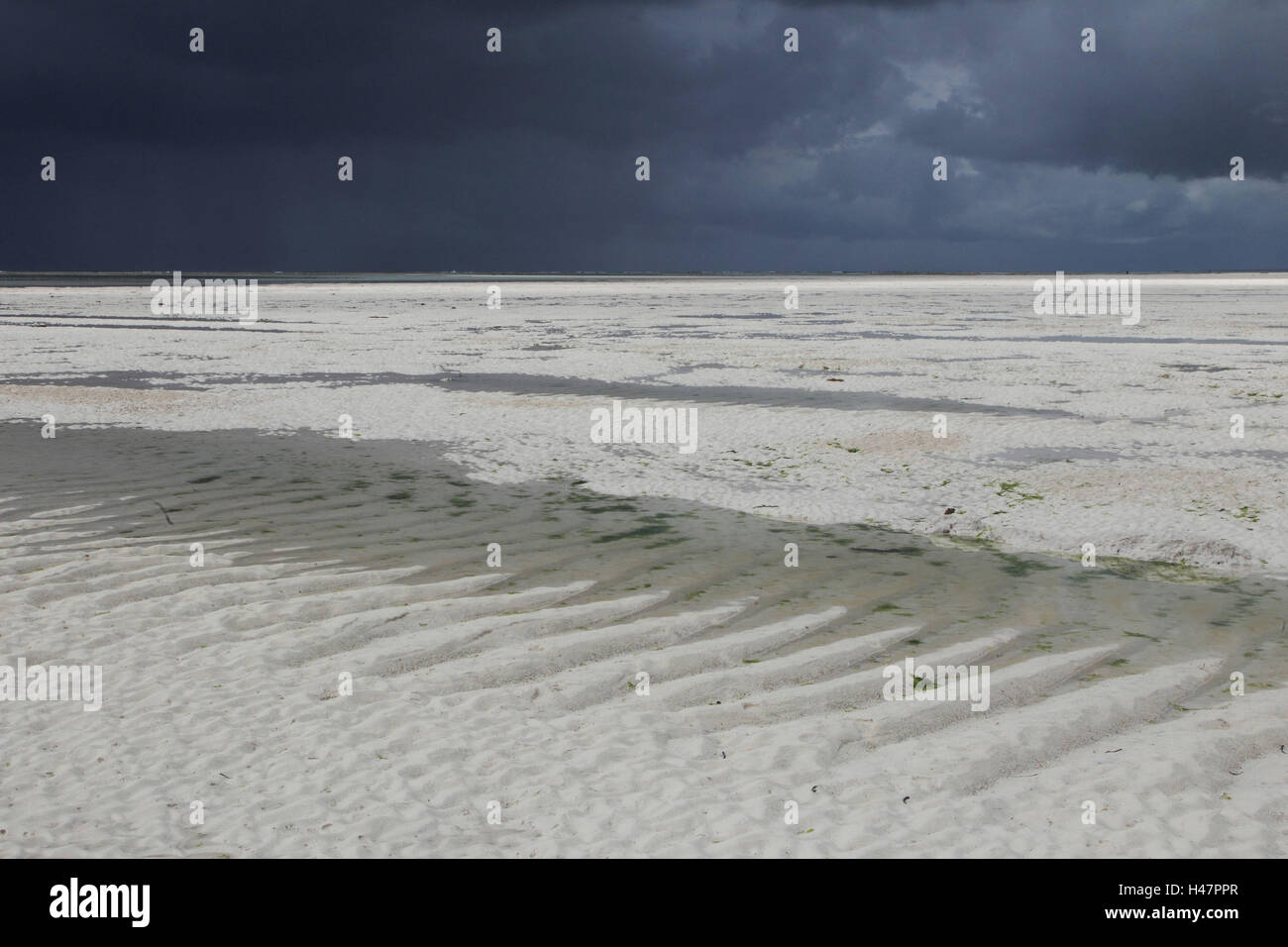 Zanzibar, Indischer Ozean, Strand, Ebbe, Gewitterwolken, Stockfoto