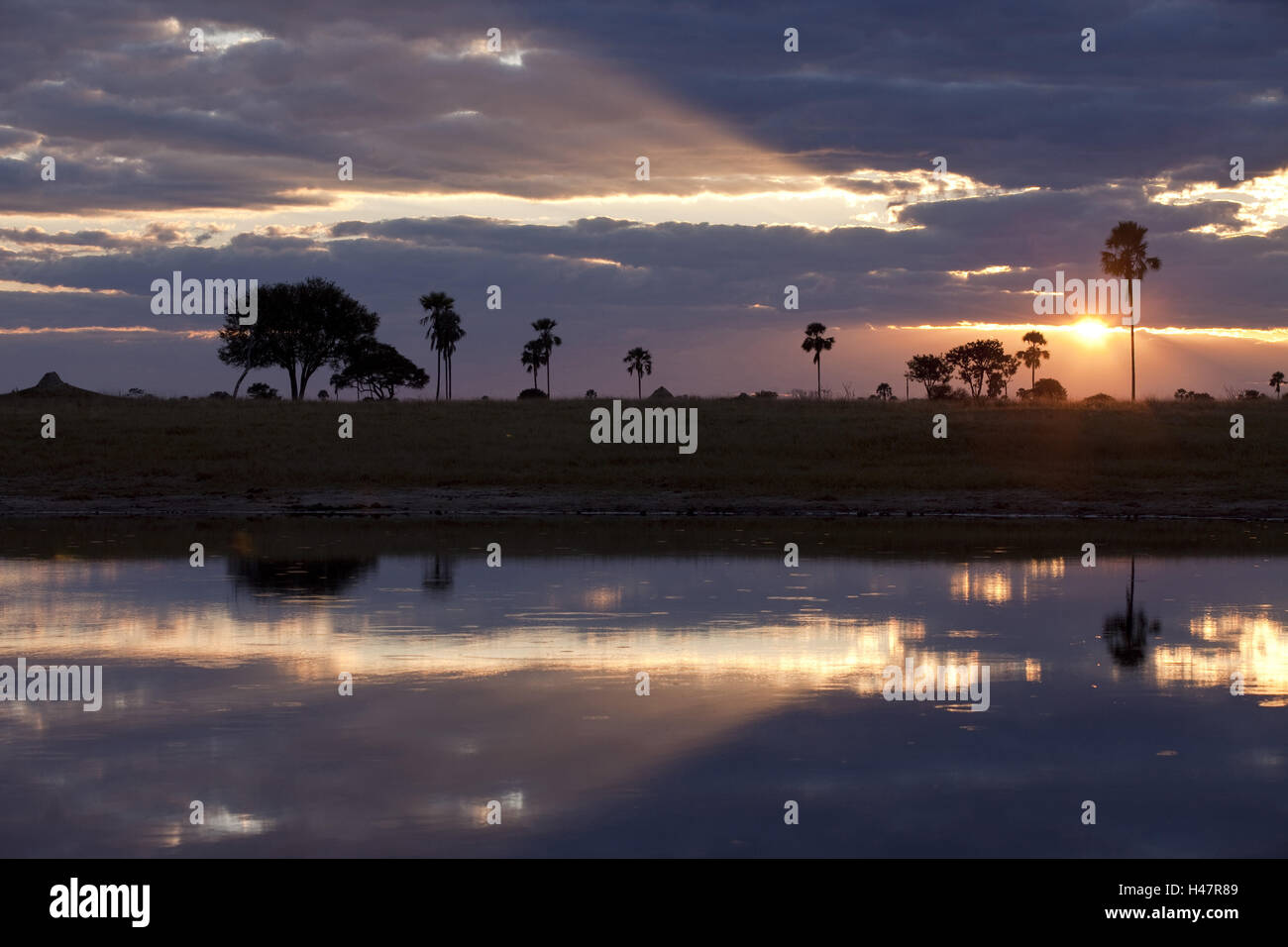 Afrika, Simbabwe, Nordregion Matabeleland, Hwange Nationalpark, Sonnenuntergang, Stockfoto