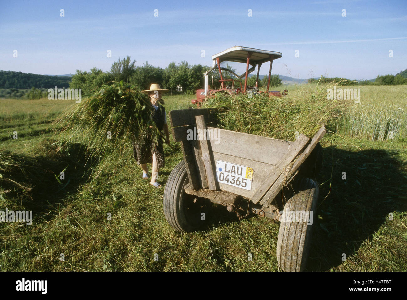 Rumänien, Traktor, Anhänger, Landwirt, Rasen, Feld Landschaft, kostenlos, Südosten, Europa, Transylvania, Landschaft, Wiese, Feld, Person, Frau, Grünfutter, aufgeladen, Last, Rinder-Wirtschaft, Landwirtschaft, Bereich Wirtschaft Stockfoto