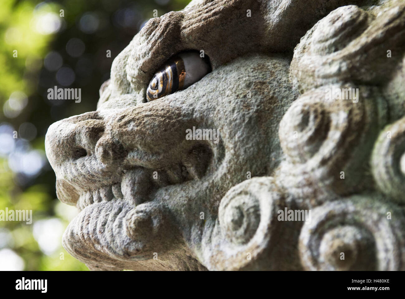 Löwe Hund, Komainu, Löwe, Kopf, Augen, Schnauze, Zahnräder, Mähne, Marker, Laub, Japan, Kyoto, Stockfoto