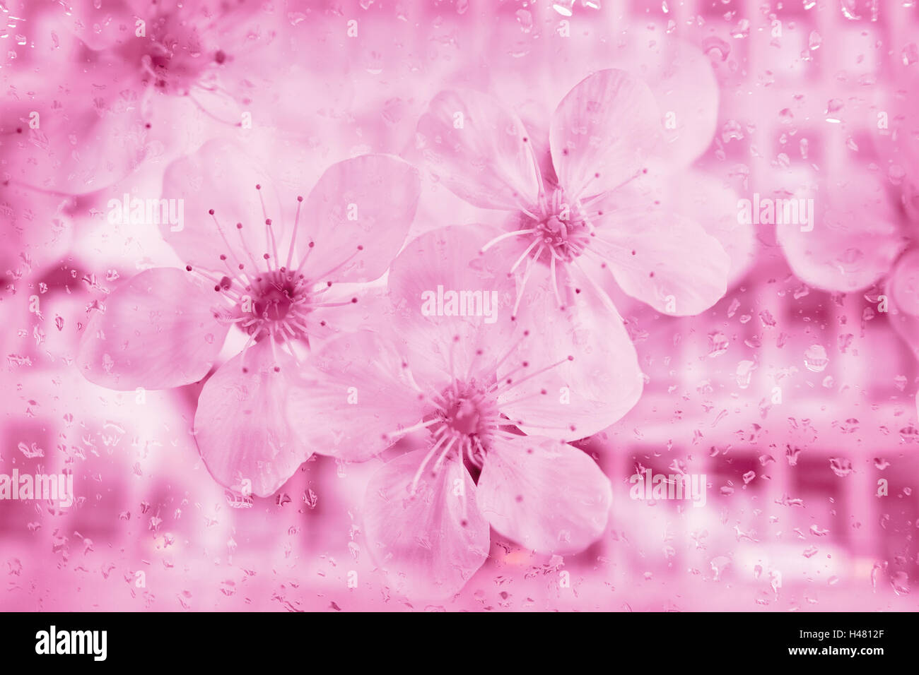 Hallo Tech Blume Hintergrund abstrakt Stockfoto