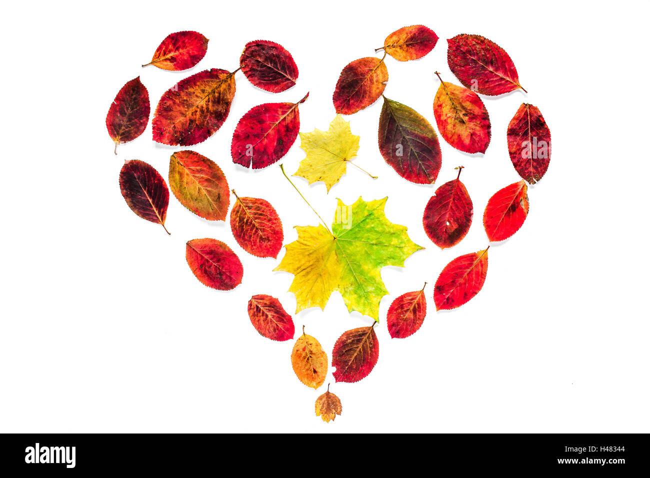 Abstrakte Herzsymbol gelbe und rote Blätter isoliert auf weißem Hintergrund für Blogs, Webseiten, Grußkarten, Gutscheine Stockfoto