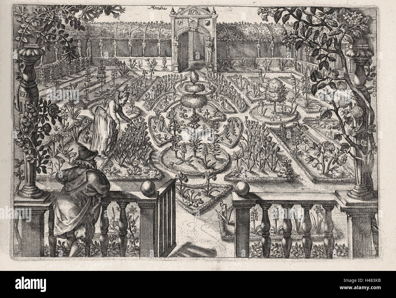 Abbildung eines Gartens Stockfoto