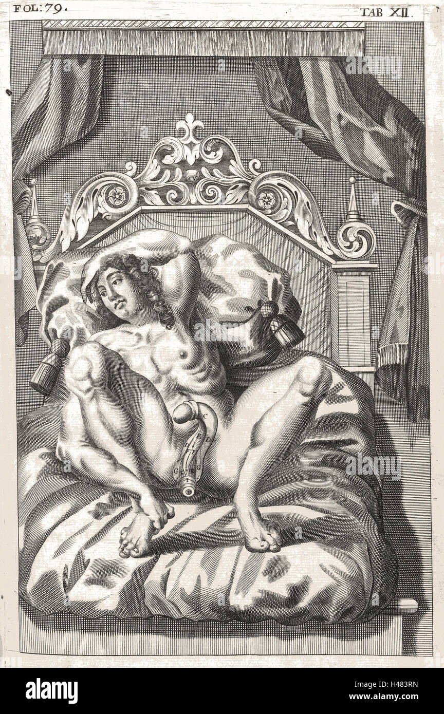 Anatomische Abbildung zeigt männliche Genitalien Stockfoto