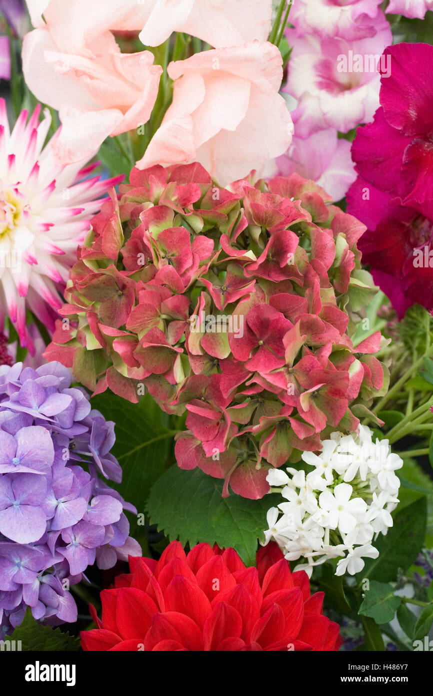 Eine Anordnung der Herbst Blumen. Stockfoto