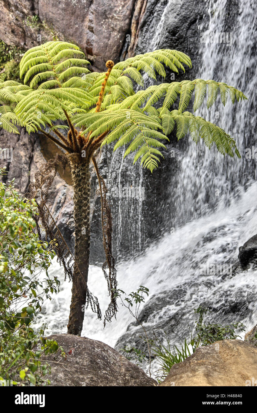 Sri Lanka, Horton Plains, Wasserfall, Felsen, Stockfoto
