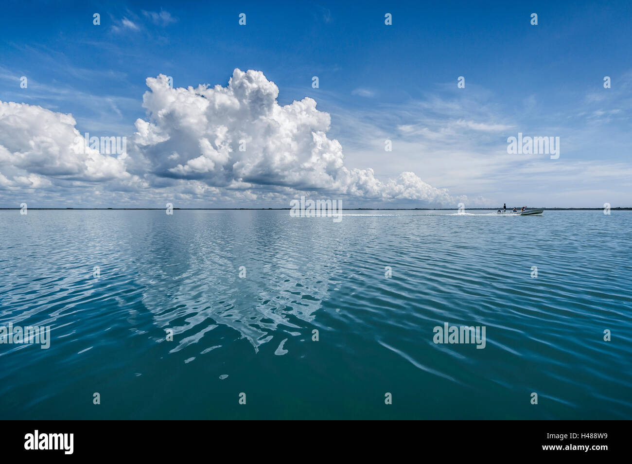 Naturreservat Siankaan (Rivera Maya, Mexiko) Stockfoto