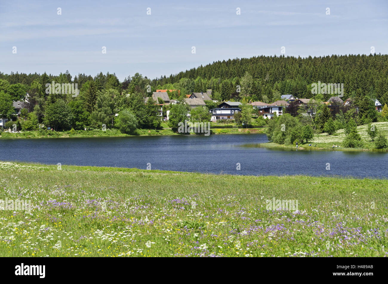 Deutschland, Niedersachsen, Harz (Gebirge), Buntenbock (Dorf), Sumpf