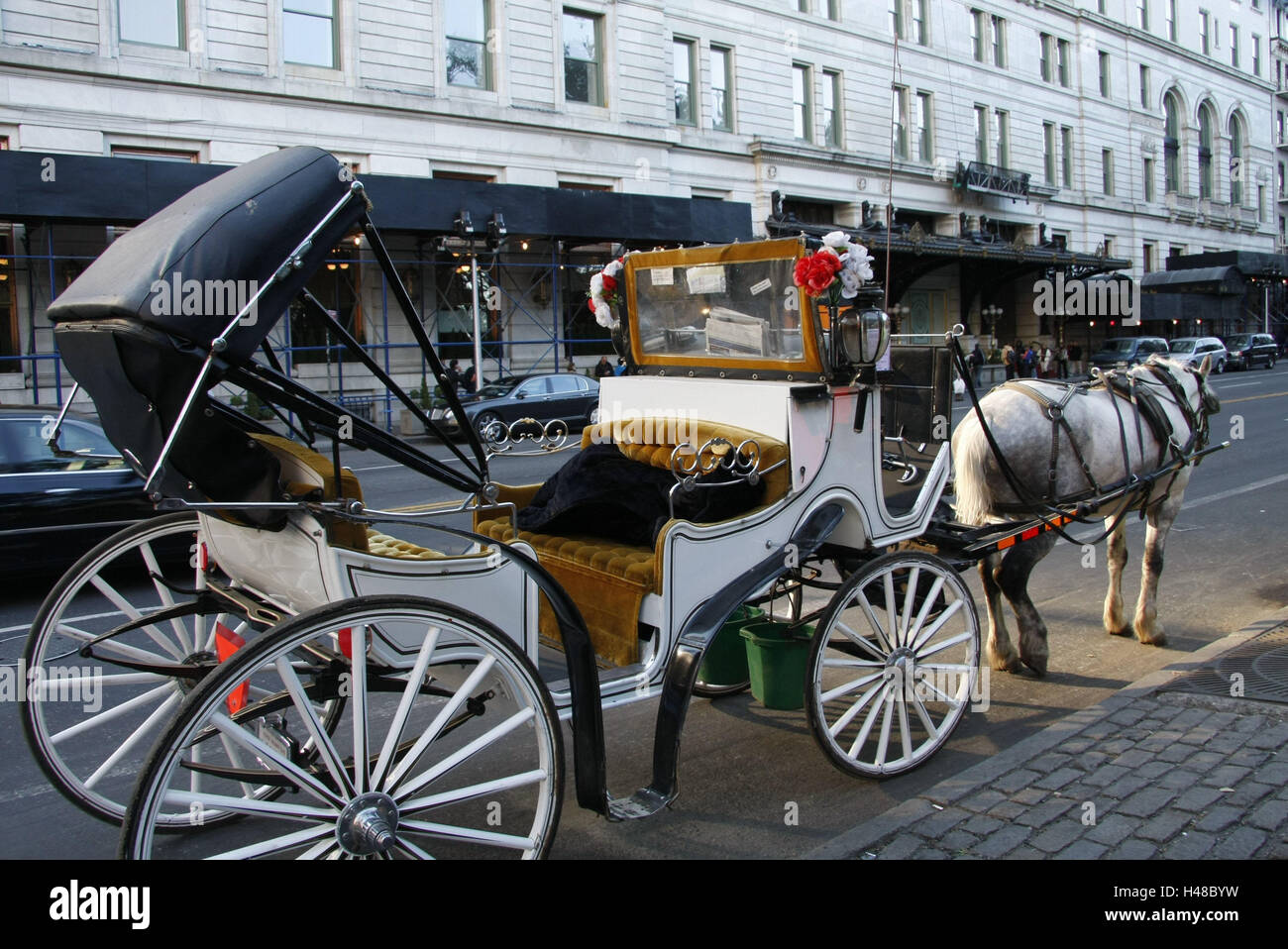 Den USA, in New York City, am Straßenrand, Pferdekutsche, warten, Nordamerika, Stadt, Ort von Interesse, Reiseziel, Tourismus, Gebäude, Architektur, außen, Straße, Verkehr, Verkehr, Kutsche, Pferd, Stadtrundfahrt, sightseeing, menschenleer, Stockfoto