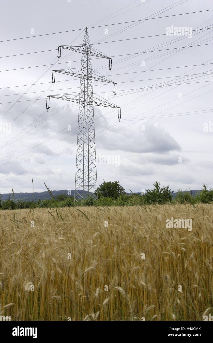 Feld, Landschaft, Hochspannungs-Pole, bewölkten Himmel, Landschaft, Getreidefeld, Strommasten, Masten, Überlandleitung, Hochspannungs-Schaltungen, Strom, Hochspannung, Kabel, Elektrokabel, Stromleitungen, Netzteil, Stromversorgung, Wirtschaft, Energie, Strom, Energie, Industrie, Deutschland, Baden-Wurttemberg, Weiblingen, Stockfoto