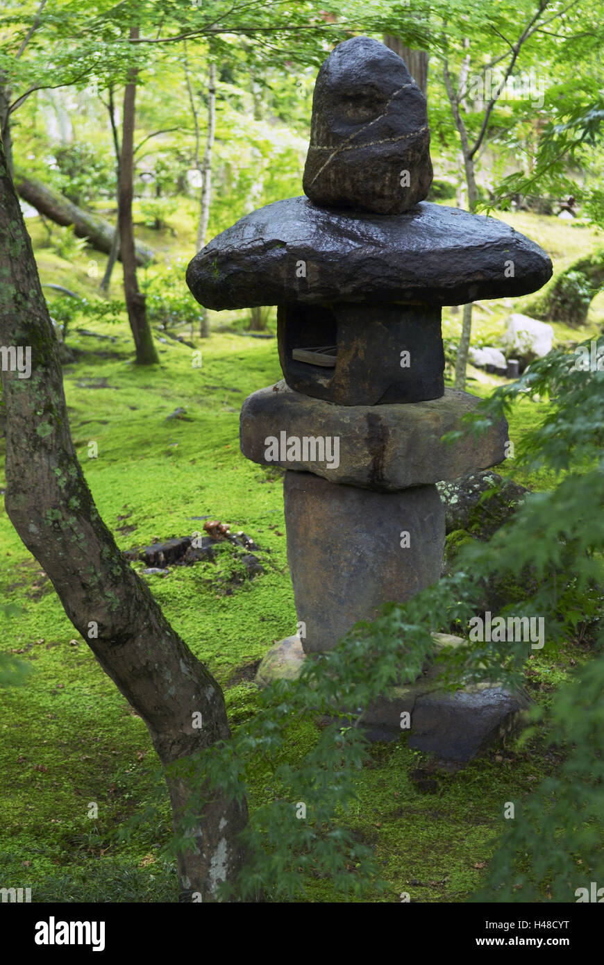 Japanischer Garten, Laterne, Galle, Moos, Rasen, Bäume, grün, Japan, Kyoto, Stockfoto