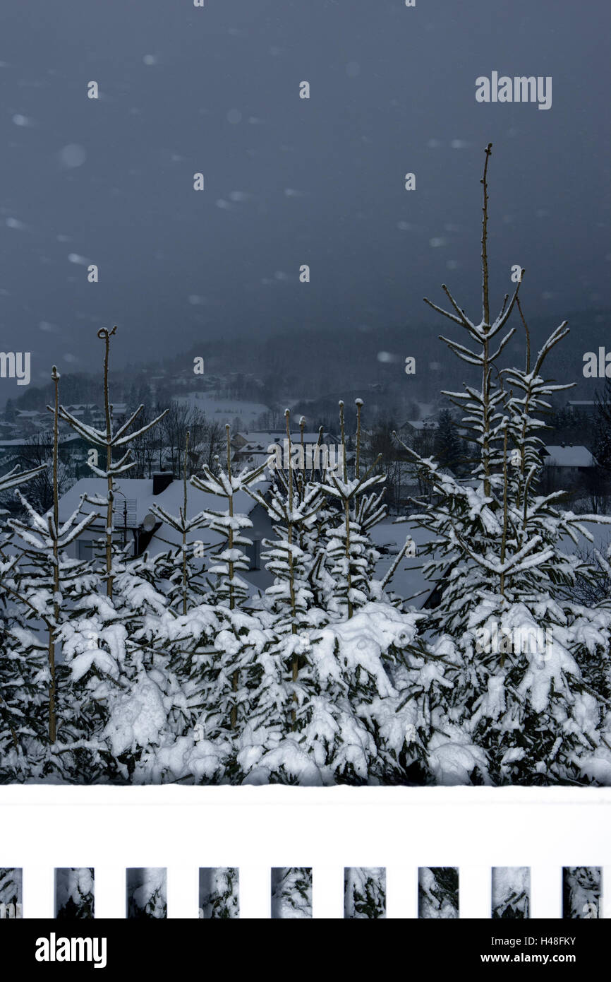 Aussicht auf dem Balkon, in der Nacht, Bäume, Schnee schlagen Stockfoto