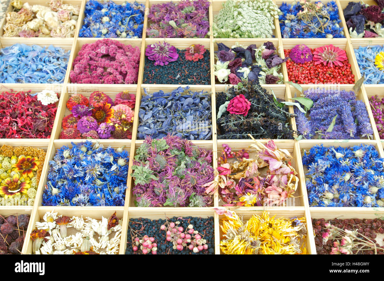 Groß-/Kleinschreibung mit trockenen Blüten, Stockfoto