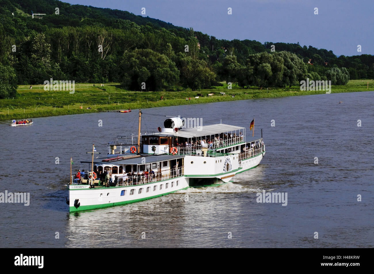 Eimer-Rad-Dampfer der weißen Flotte auf der Elbe, Dresden, Sachsen, Deutschland, Stockfoto