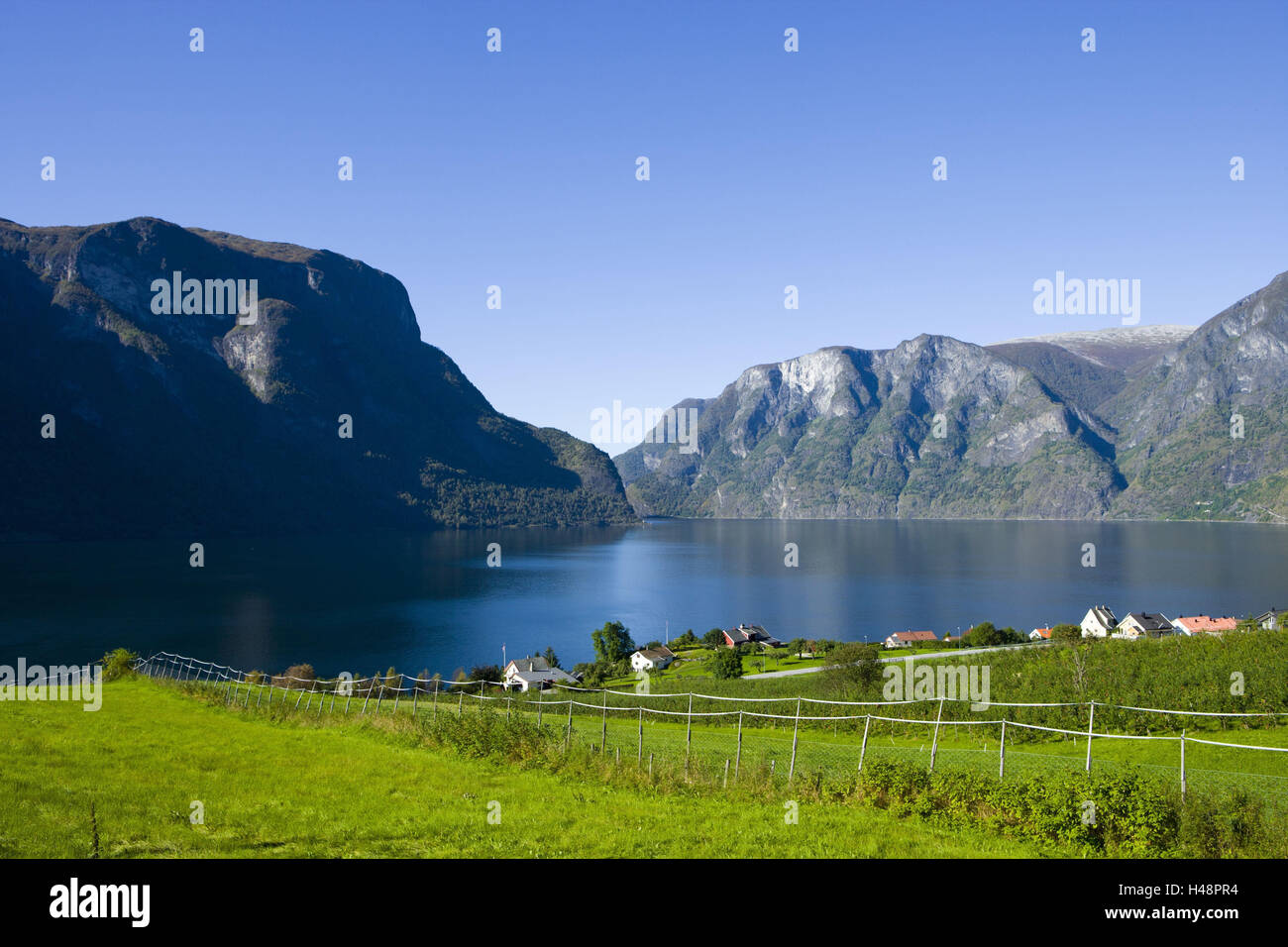 Skandinavien, Norwegen, See, Aurlandsfjord, Stockfoto