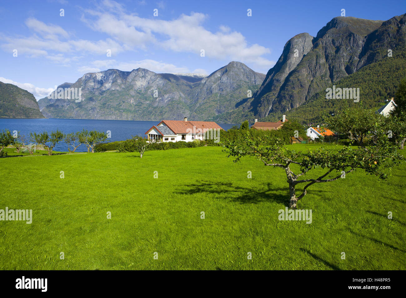 Skandinavien, Norwegen, Haus, Aurland, Stockfoto