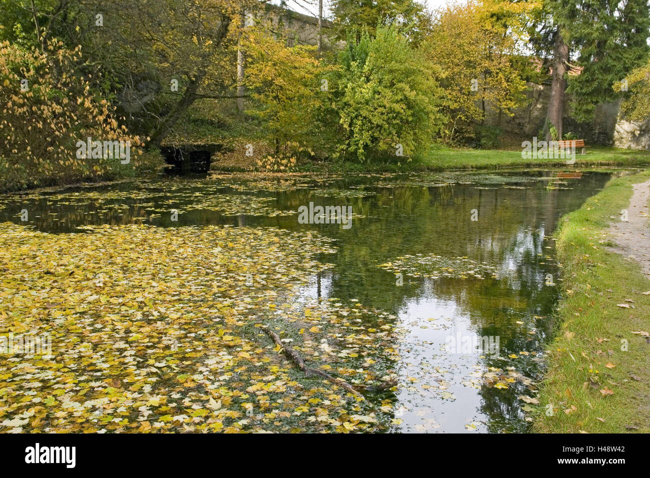 Deutschland, BadenWurttemberg, Offenhausen, laut Quelle, Herbstlaub