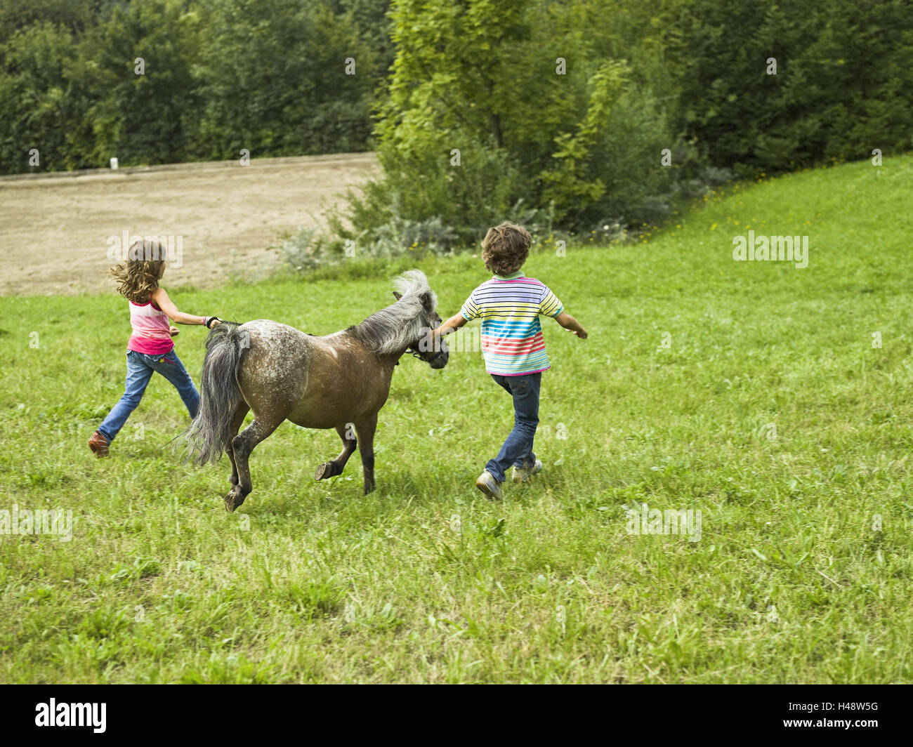 Kinder, zwei, Pony, Wiese, laufen, Stockfoto