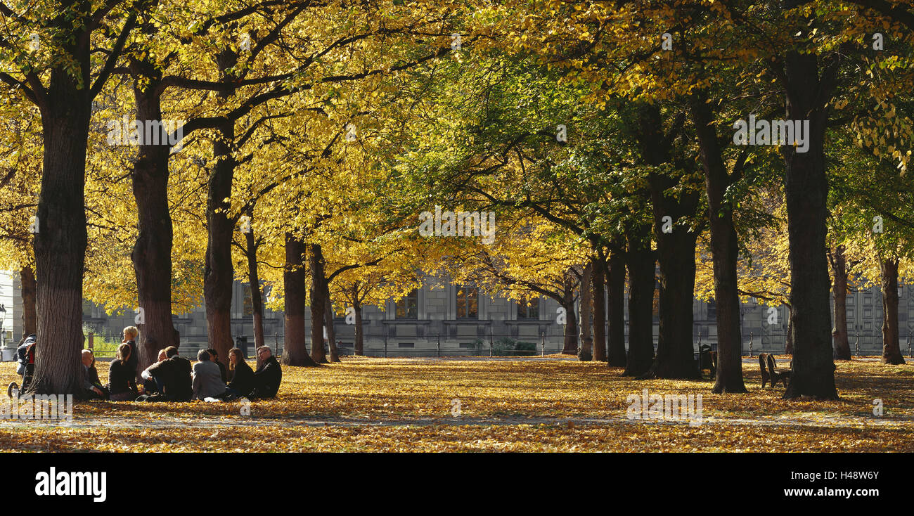 Deutschland, Bayern, München, Hof, Garten, Besucher, Herbst, Oberbayern, Stadt, Park, Stadtpark, Bäume, Herbst-Färbung, herbstliche, Laub, Herbstlaub, Naherholungsgebiet, Person, Gruppe, Sit, Picknick, Ruhe, Erholung, Ruhe, Stockfoto