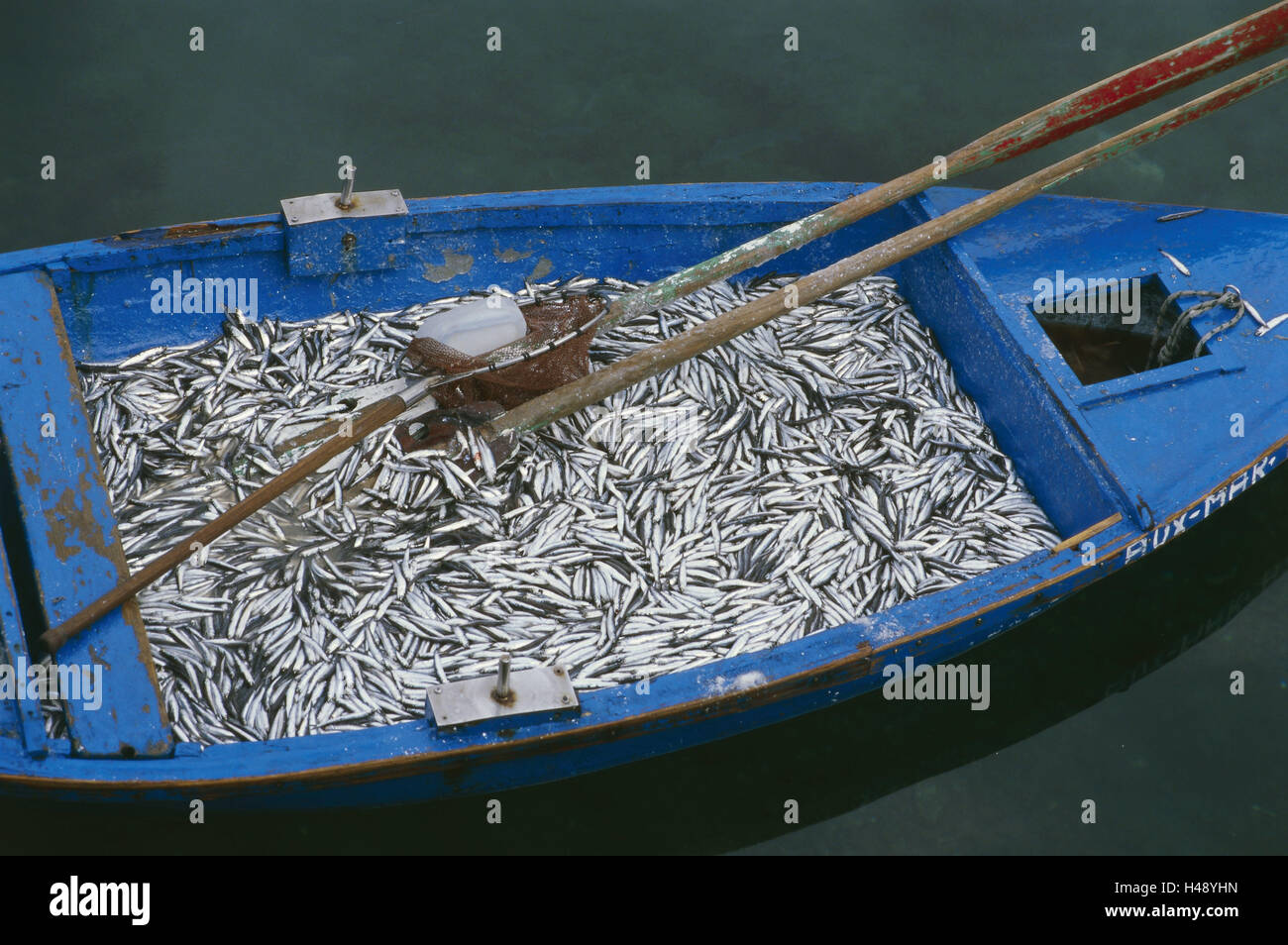 Spanien, die Kanaren Insel Lanzarote, La Tinosa, Hafen, Boot, Sardinen, Sardinen fangen, Schaluppe, Holzboot, Angeln, Wirtschaft, Meer, Tradition, Essen, Fisch, Stockfoto