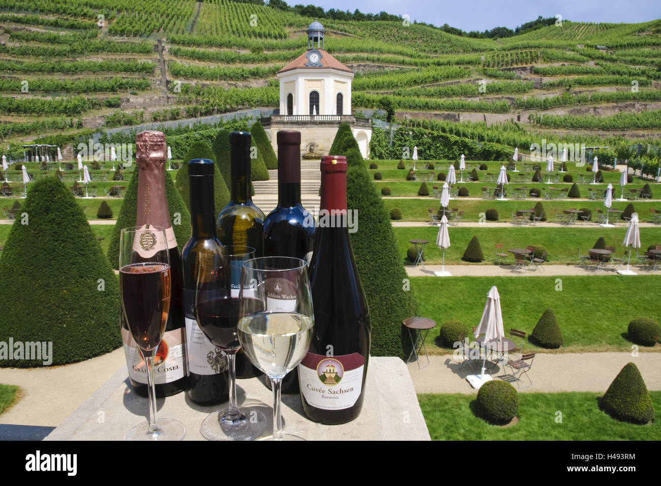 Schloss Wackerbarth, Weine, Barockgarten im Hintergrund, Radebeul, Sachsen, Deutschland, Stockfoto Schloss Wackerbarth, Weine, Barockgarten im Hintergrund, Radebeul, Sachsen, Deutschland, Stockfoto