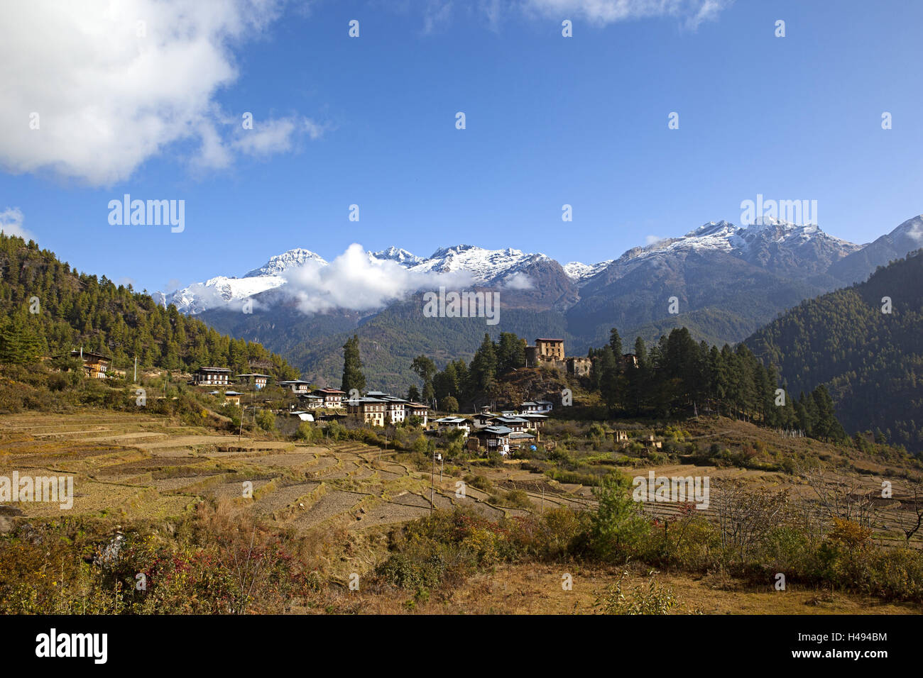 Königreich Bhutan, Landschaft im Paro-Tal, Stockfoto