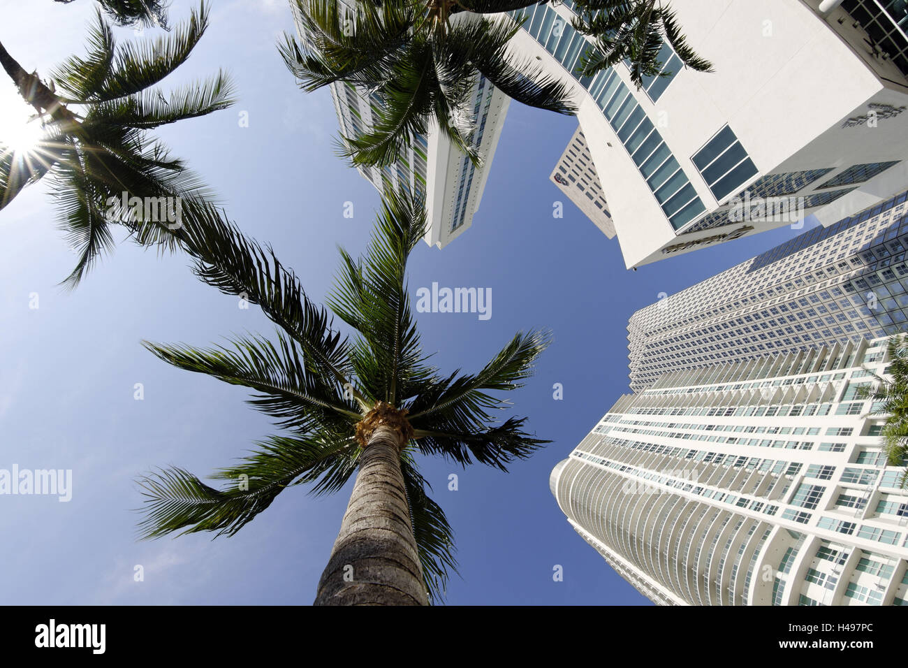 Hochhäuser, epische Marina, Miami River Walk, Downtown Miami, Florida, USA, Stockfoto