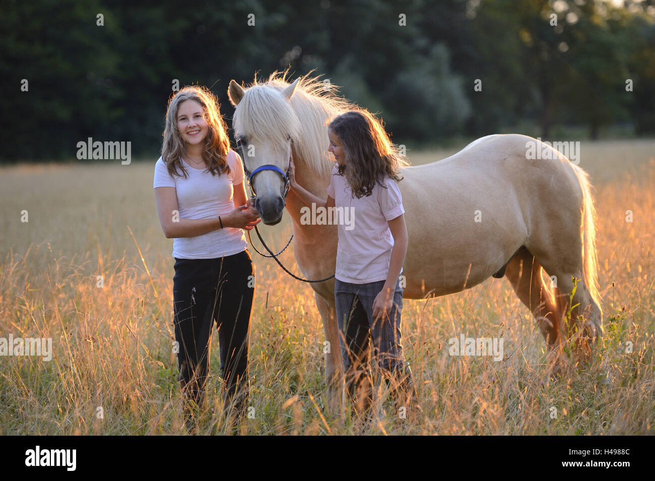 Mädchen, Pferd, Wiese, Blick in die Kamera, Landschaft, Stockfoto