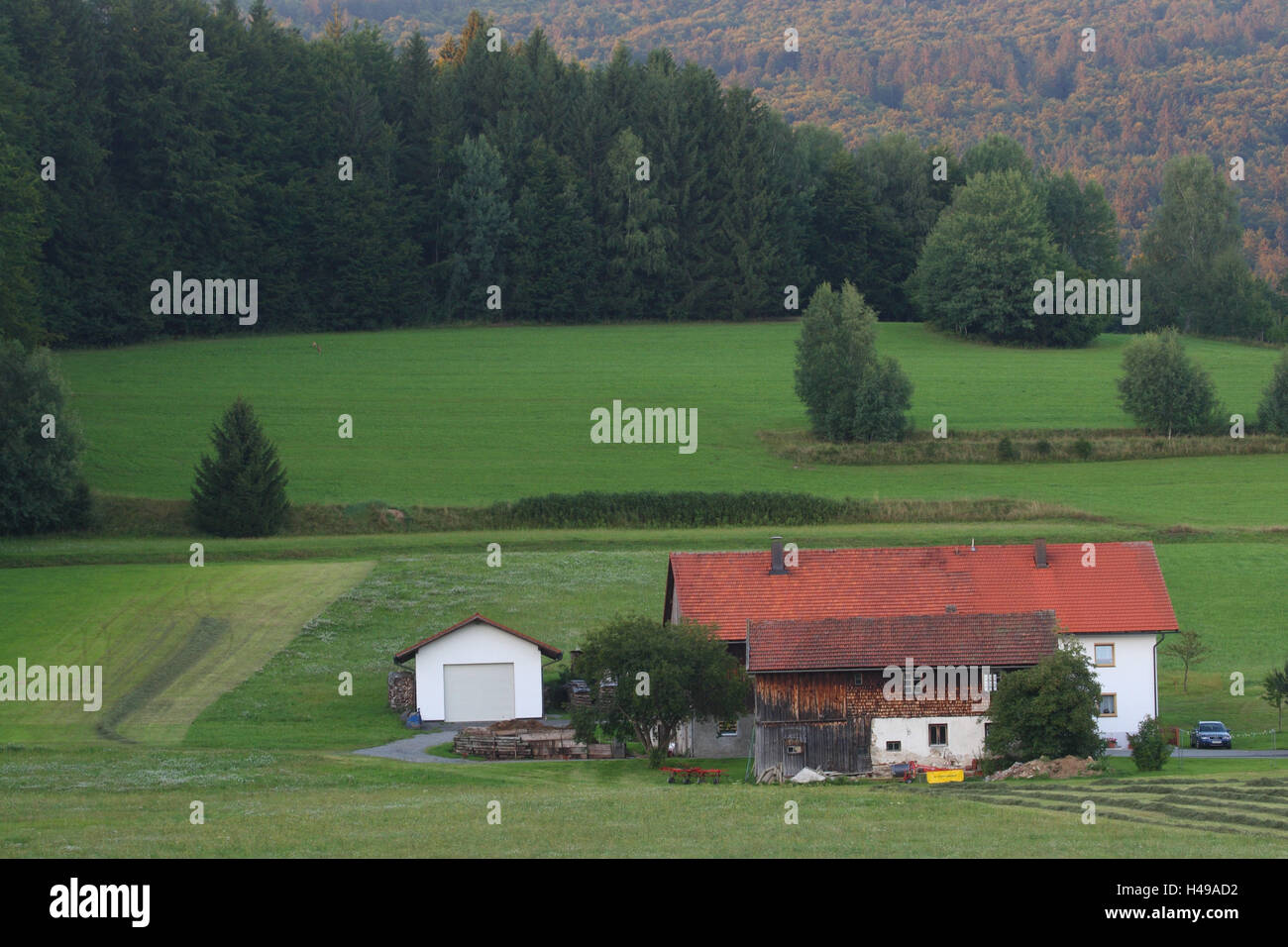 Bauernhof, Altschönau, der Bayerische Wald, Deutschland, Stockfoto
