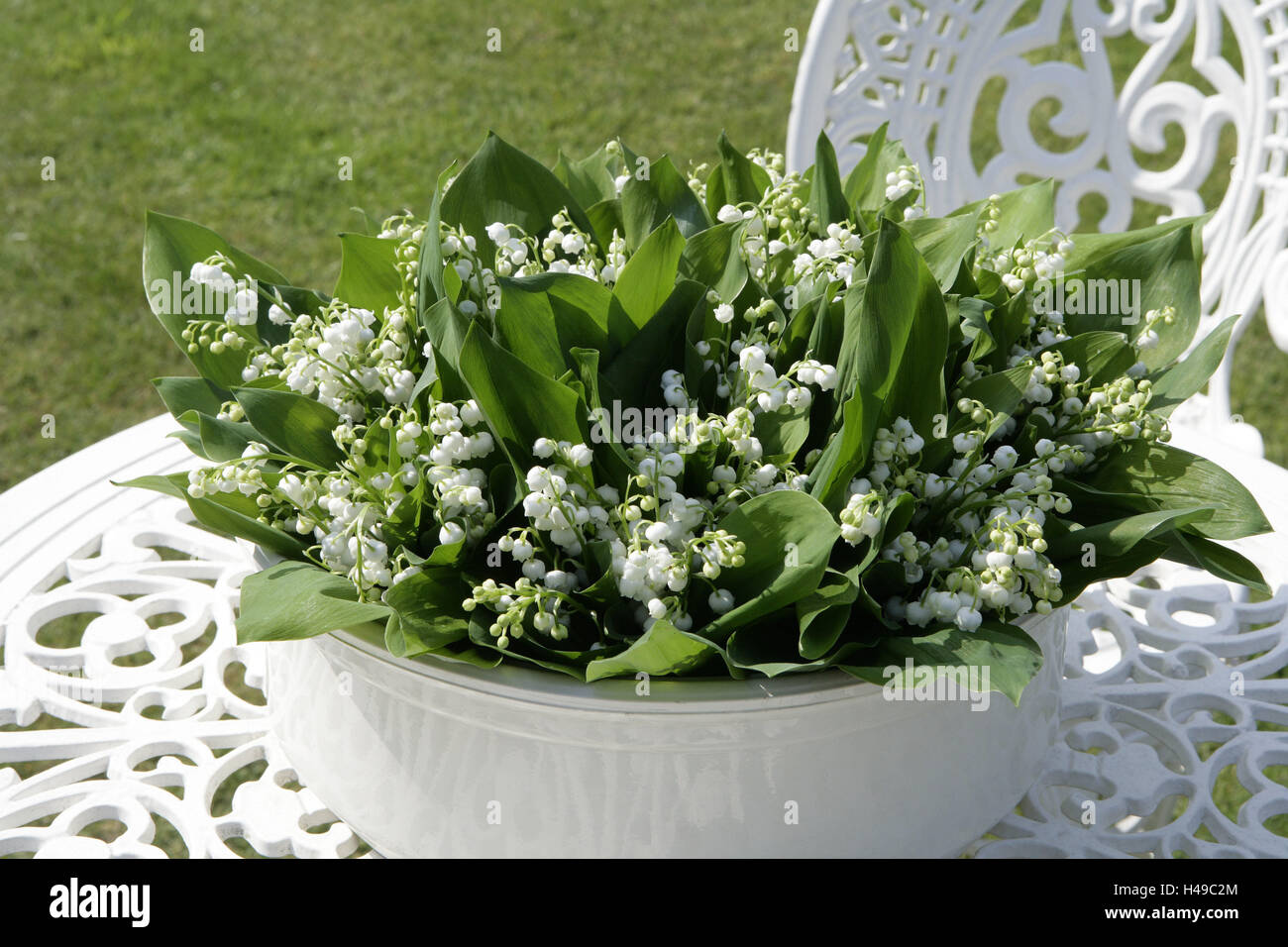 Tisch, Blume Schüssel, Lilie im Tal, Pflanzen, Blumen, Lilie Pflanzen, Mai Blumen, Zeitraum Blüte, Mai, Blüten, weiß, giftig, Saison, Frühling, Frühlingsboten, Frühlingsblumen, Rasen, Stuhl, Stockfoto