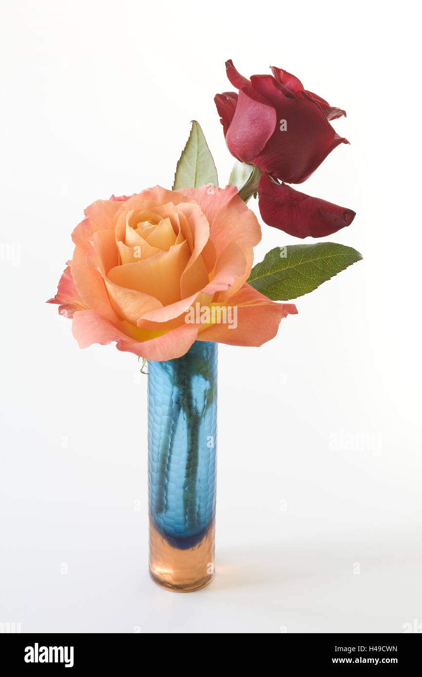 lachsfarben und rote Rose in blauem Glasvase, Stockfoto