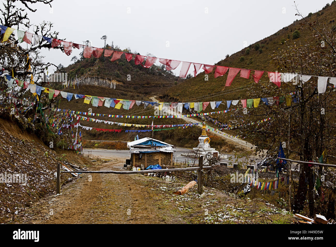 Königreich Bhutan, Pass Höhe Pele La, Stockfoto